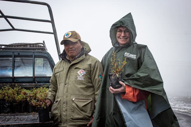 Image of a person holding a queñua plant.