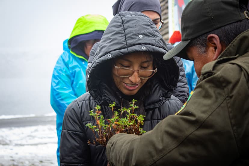 Image of people planting in a community.